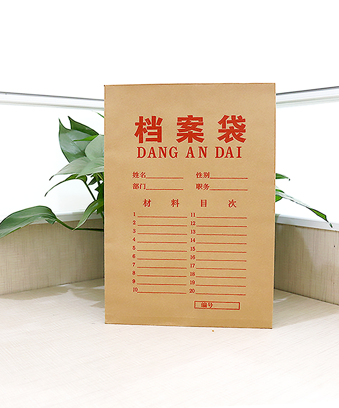 檔案袋生產(chǎn)廠家, 檔案袋多少錢, 公司檔案袋_印無憂設計印刷廠