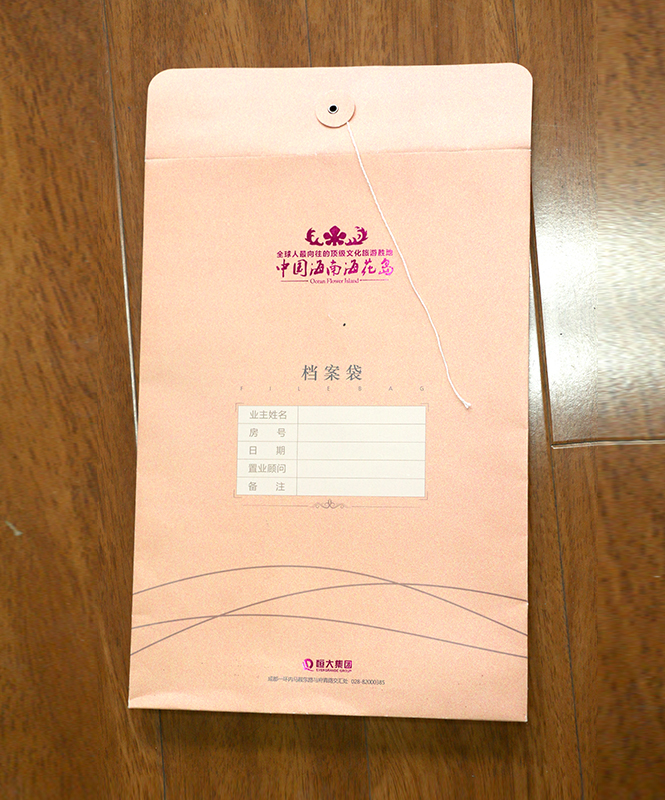 檔案袋生產(chǎn)廠家,檔案袋多少錢,公司檔案袋_印無憂設(shè)計印刷廠